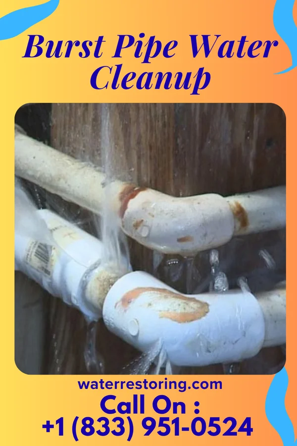 Burst Pipe Water Cleanup in Coalton, OH