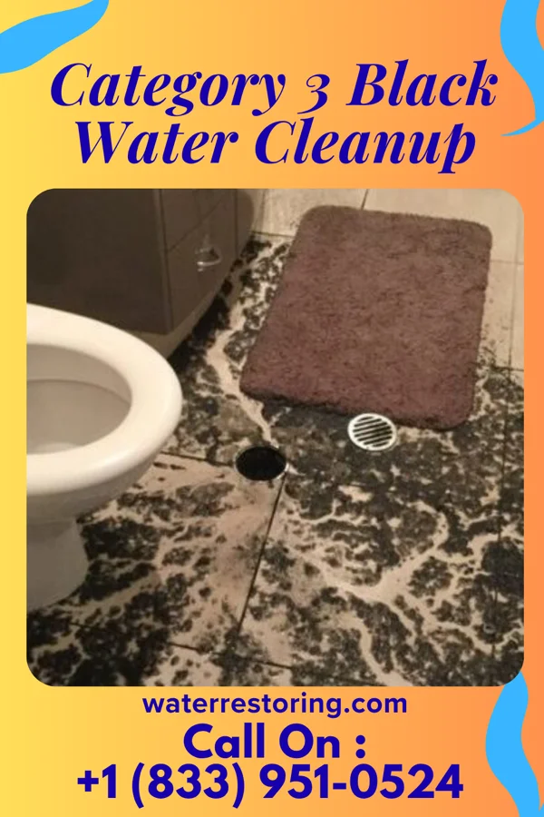Category 3 Black Water Cleanup in Coalton, OH