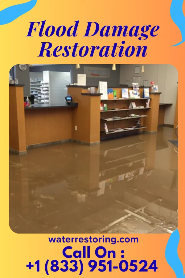 Flood Damage Restoration in Coalton, OH