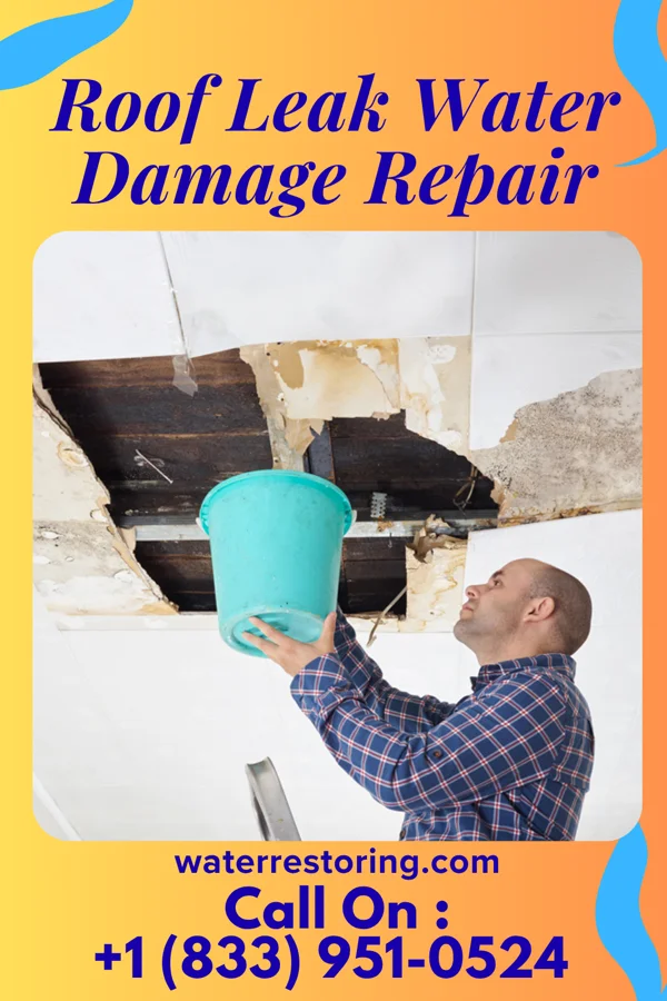 Roof Leak Water Damage Repair in Coalton, OH