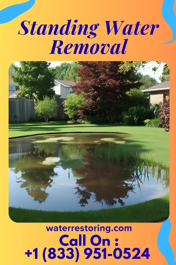 Standing Water Removal in Coalton, OH